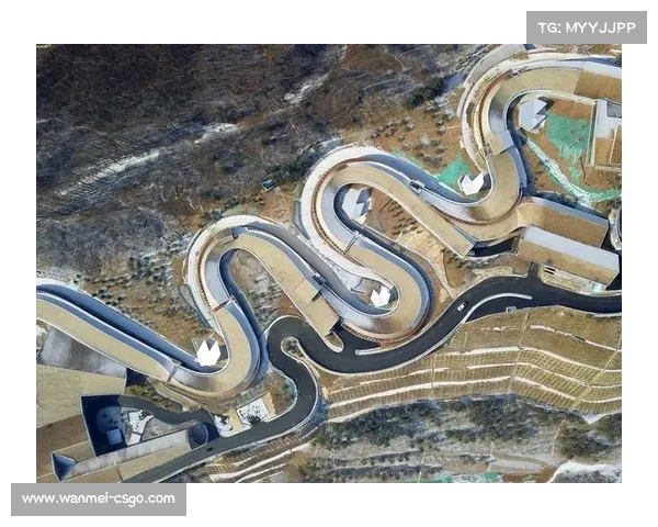 钢架雪车混合团体入奥：新赛制下的战术变革与机遇